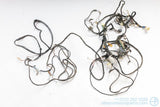 Used 1966-1972 BMW E10 2002 Rear Body Wiring Harness - Early Style