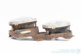 Used 1983-1993 BMW E30 318i 325i M3 Right Headlight Assembly