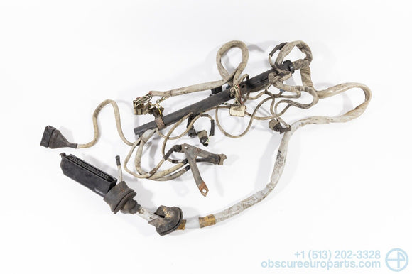 Used 1972-1975 BMW E9 3.0CSi M30 Engine Wiring Harness