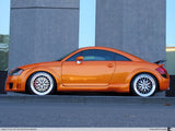 NOS PPI Design Door Blade Edge Trim for 1998-2006 Audi TT 8N